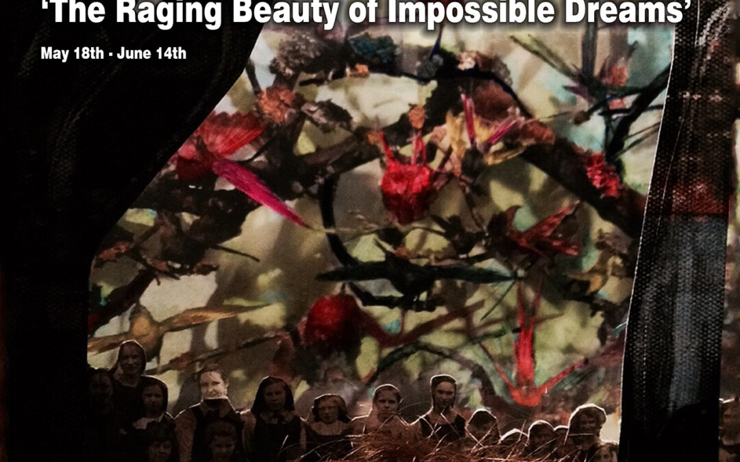 The Raging Beauty of Impossible Dreams